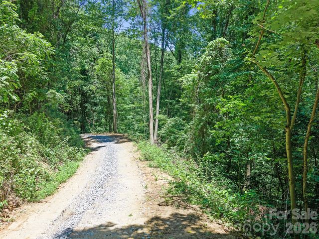 9999 Lovebird Lane 20, Candler, NC 28715