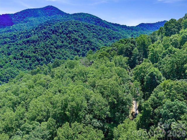 9999 Lovebird Lane 20, Candler, NC 28715