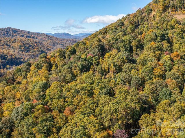 9999 Lovebird Lane 20, Candler, NC 28715