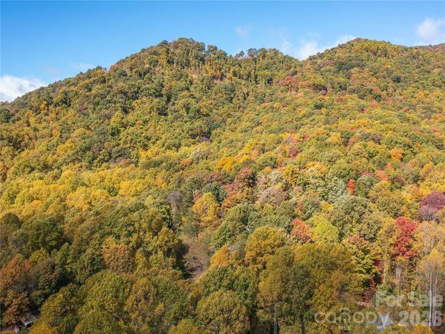 9999 Lovebird Lane 20, Candler, NC 28715