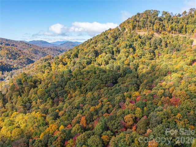 9999 Lovebird Lane 20, Candler, NC 28715