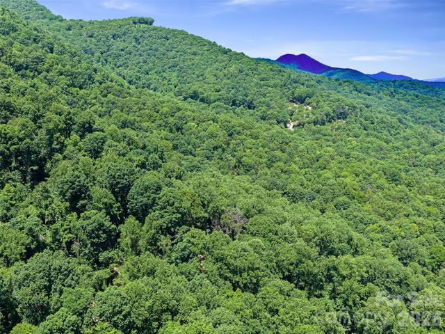 9999 Lovebird Lane 20, Candler, NC 28715