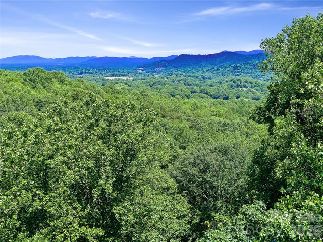 9999 Lovebird Lane 20, Candler, NC 28715