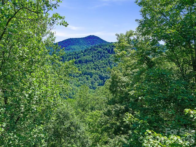 9999 Lovebird Lane 20, Candler, NC 28715