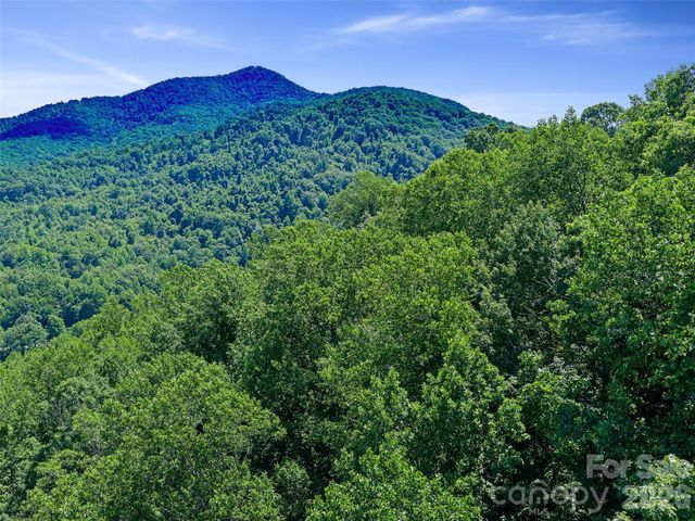 9999 Lovebird Lane 20, Candler, NC 28715