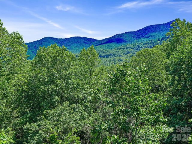 9999 Lovebird Lane 20, Candler, NC 28715