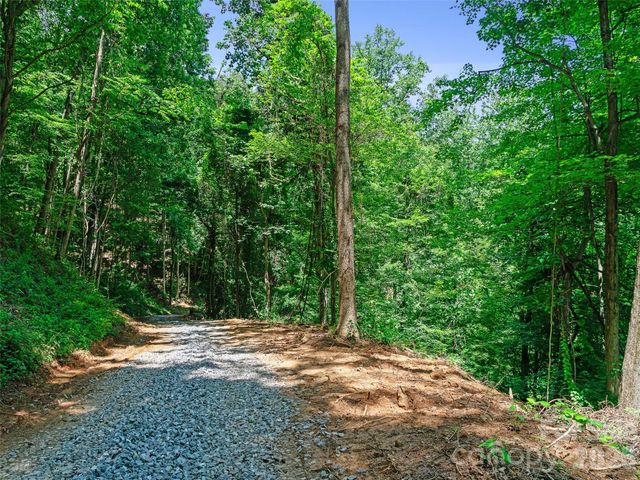 9999 Lovebird Lane 20, Candler, NC 28715