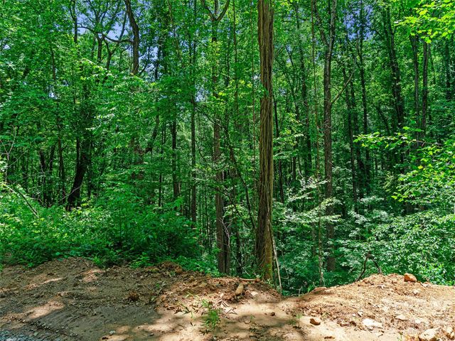 9999 Lovebird Lane 20, Candler, NC 28715