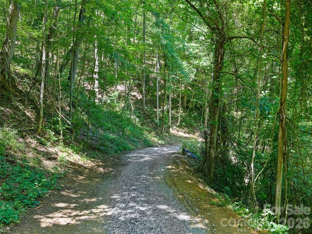 9999 Lovebird Lane 20, Candler, NC 28715