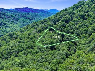 9999 Lovebird Lane 20, Candler, NC 28715