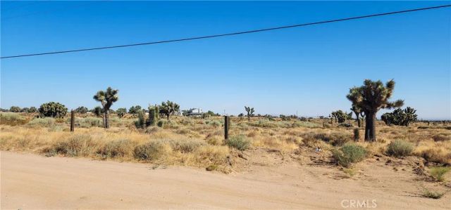 1 Muscatel, Phelan, CA 92371
