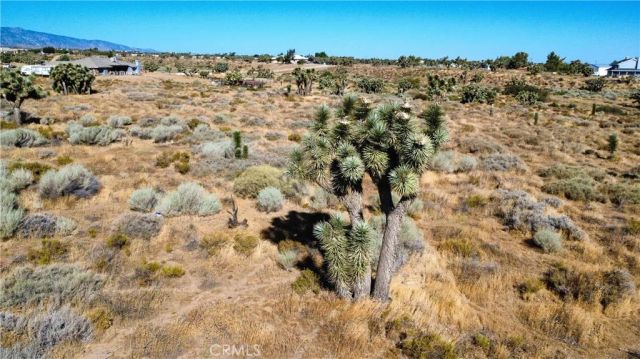 1 Muscatel, Phelan, CA 92371
