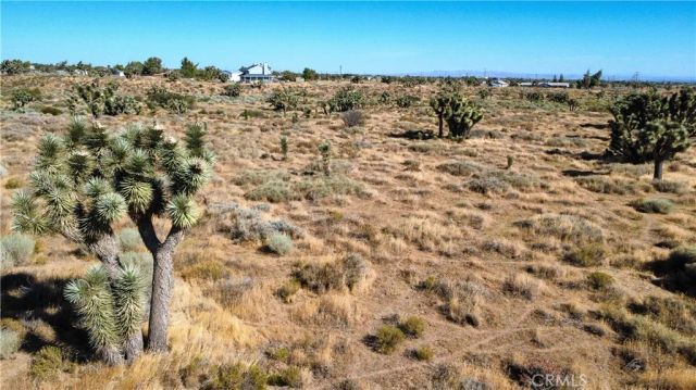 1 Muscatel, Phelan, CA 92371