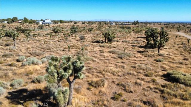 1 Muscatel, Phelan, CA 92371