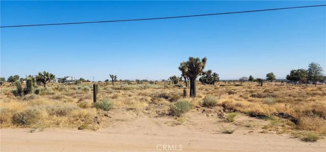 1 Muscatel, Phelan, CA 92371