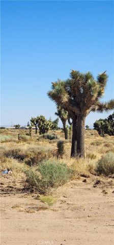 1 Muscatel, Phelan, CA 92371
