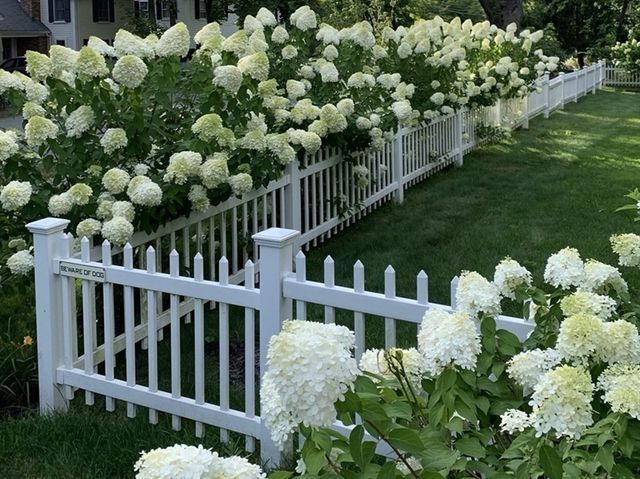 25 Fairhaven Rd, Concord, MA 01742