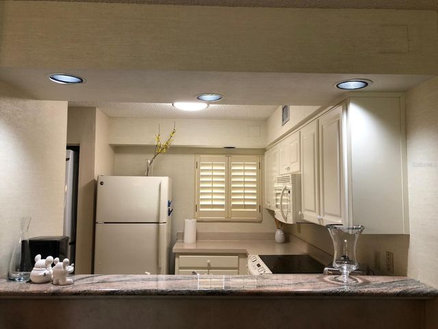 29129 BAY HOLLOW DRIVE 3203, Wesley Chapel, FL 33543