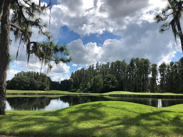 29129 BAY HOLLOW DRIVE 3203, Wesley Chapel, FL 33543