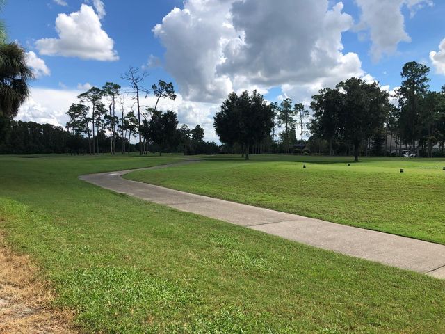 29129 BAY HOLLOW DRIVE 3203, Wesley Chapel, FL 33543