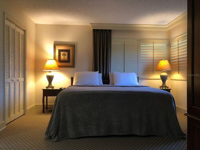 29129 BAY HOLLOW DRIVE 3203, Wesley Chapel, FL 33543