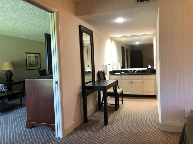 29129 BAY HOLLOW DRIVE 3203, Wesley Chapel, FL 33543