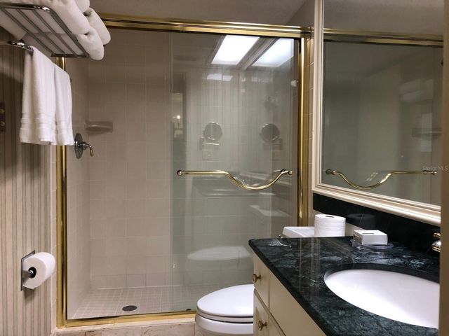 29129 BAY HOLLOW DRIVE 3203, Wesley Chapel, FL 33543