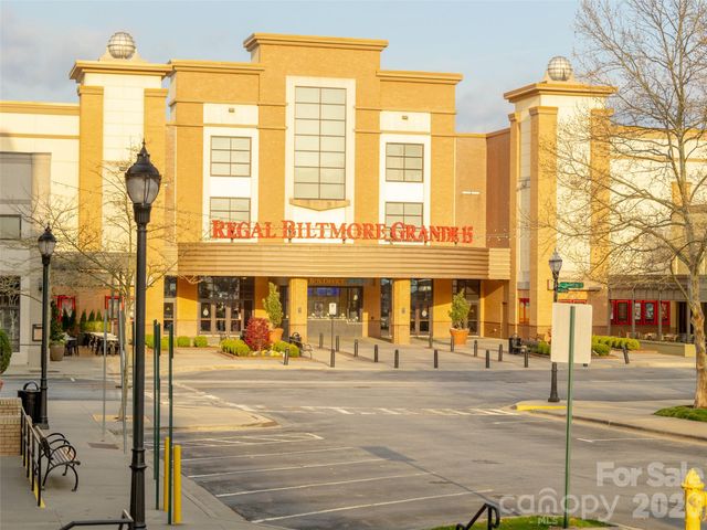 101 White Ash Drive E, Asheville, NC 28803