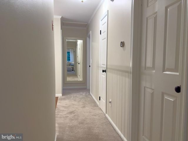 14540 STIRRUP LANE, Galena, MD 21635