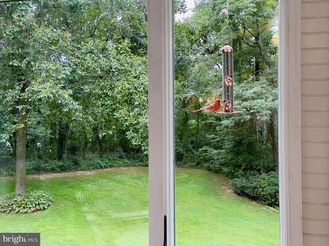 14540 STIRRUP LANE, Galena, MD 21635