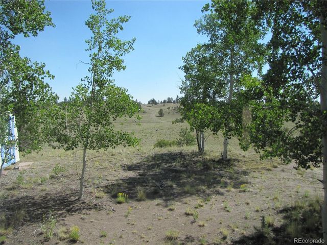 560 Concho Trl, Hartsel, CO 80449