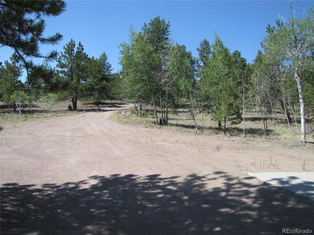 560 Concho Trl, Hartsel, CO 80449