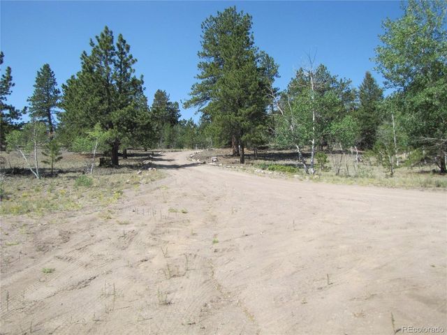 560 Concho Trl, Hartsel, CO 80449