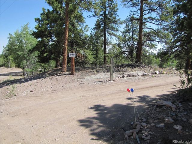 560 Concho Trl, Hartsel, CO 80449