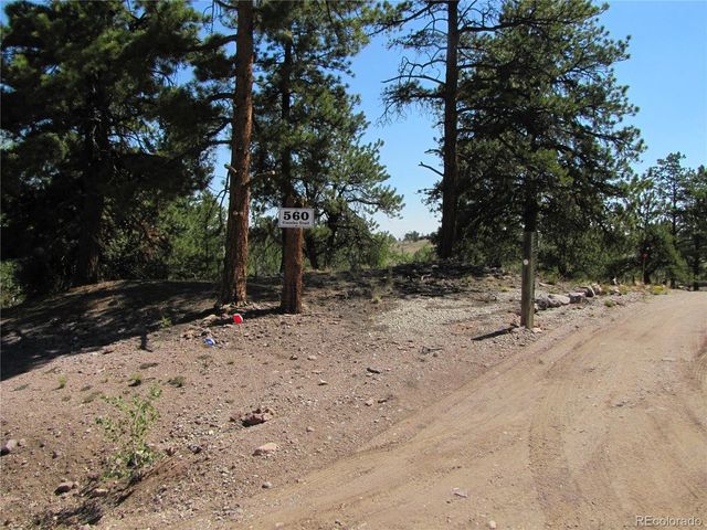 560 Concho Trl, Hartsel, CO 80449