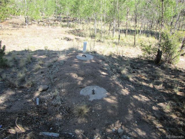 560 Concho Trl, Hartsel, CO 80449