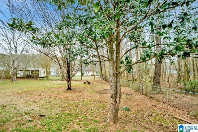 375 BRIAN TRAIL, Springville, AL 35146