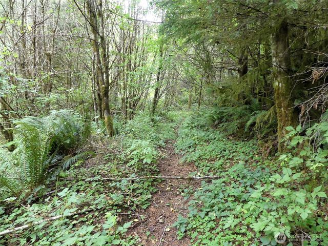 160 Reid Lane, Longview, WA 98632