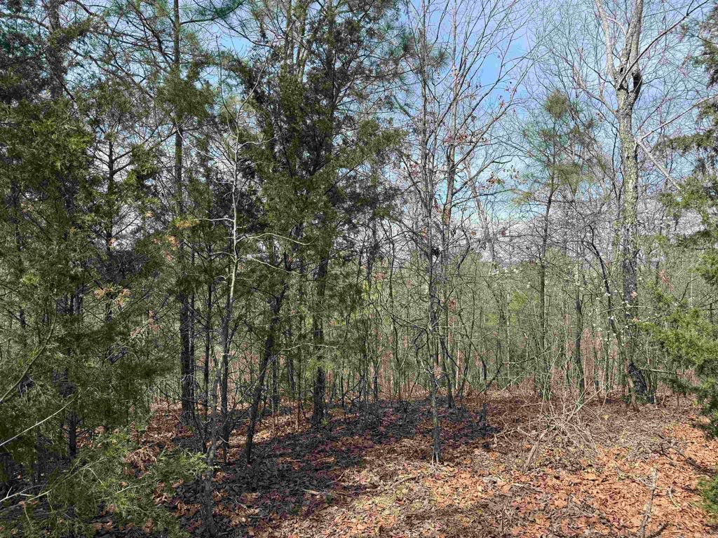Lot 49 Mustang Drive, Clinton, AR 72031