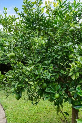 1194 Sea Palms West Drive, St Simons Island, GA 31522