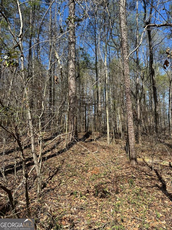 0 Poplar Mountain Lane, Carnesville, GA 30521 — exterior