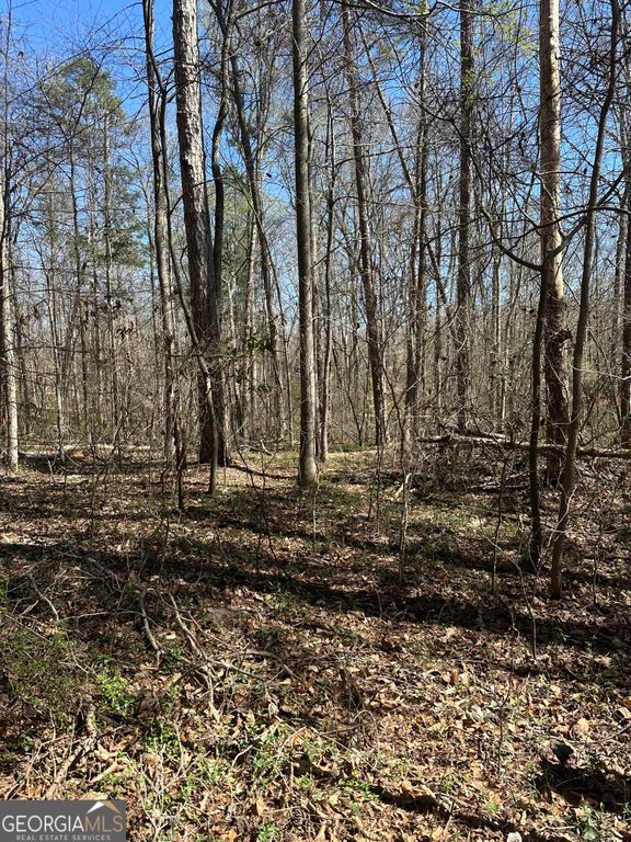0 Poplar Mountain Lane, Carnesville, GA 30521 — photo 2