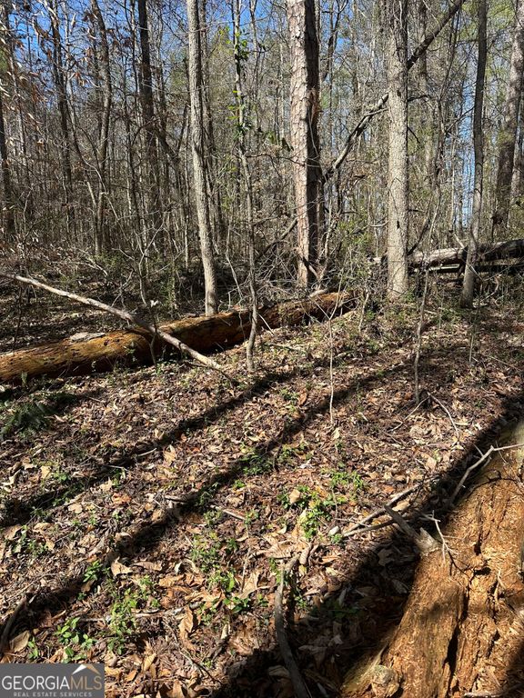0 Poplar Mountain Lane, Carnesville, GA 30521 — photo 3