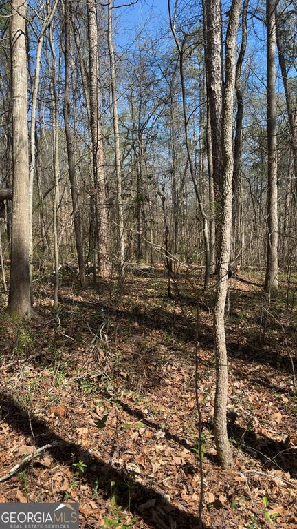 0 Poplar Mountain Lane, Carnesville, GA 30521 — photo 4