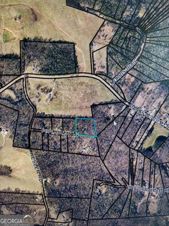 0 Poplar Mountain Lane, Carnesville, GA 30521 — photo 5