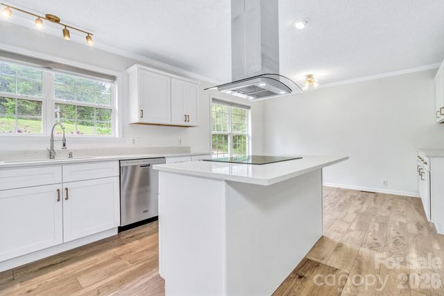 31 Trent Drive 48, Leicester, NC 28748