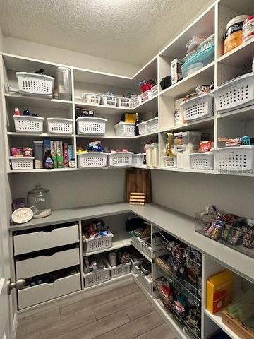 33135 SAND CREEK DRIVE, Wesley Chapel, FL 33543