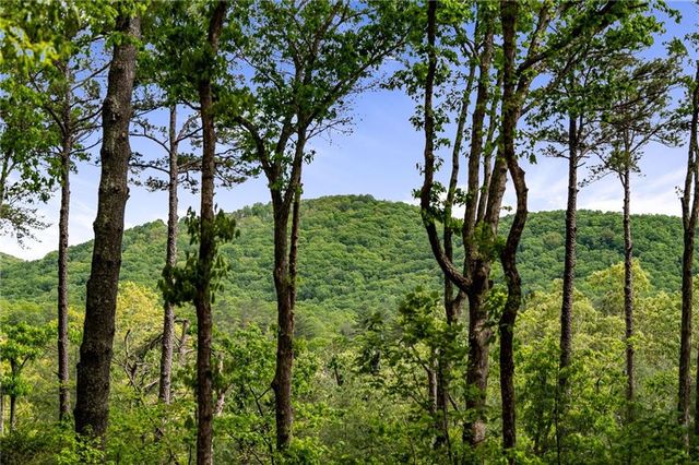 245 Old Anderson Creek, Ellijay, GA 30536