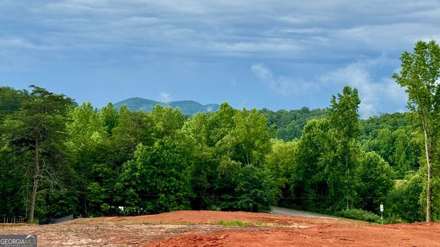 25 Caudell Drive, Cleveland, GA 30528