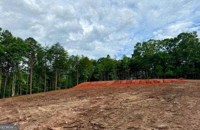 25 Caudell Drive, Cleveland, GA 30528